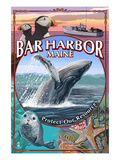 Bar Harbor  Maine - Wildlife Montage