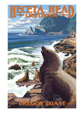 Heceta Head Lighthouse - Sea Lions