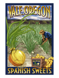 Vale  Oregon - Spanish Sweets Onion Harvest