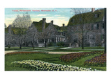 Rochester  New York - Portsmouth Terrace Tulips in Bloom