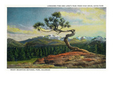 Rocky Mt Nat'l Park  Colorado - High Drive Lonesome Pine View of Long's Peak