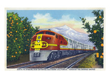 California - View of a Santa Fe Train Passing Through Orange Groves