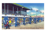 Miami  Florida - West Flagler Kennel Club Greyhound Parade before Race