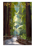 Kings Canyon National Park  California - Pathway and Hikers