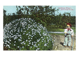 California - Little Boy Watering Flowers  California Winter Good Enough