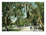 Daytona Beach  Florida - Ridgewood Ave and Hotel View