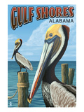 Gulf Shores  Alabama - Brown Pelican