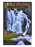 Kings Creek Falls - Lassen Volcanic National Park  CA