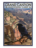 Grand Canyon National Park - Ravens at South Rim