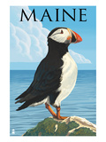 Maine - Puffin on Rock Scene
