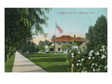 Pasadena  California - Scenic View Down Orange Grove Avenue