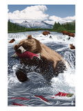 Grizzly Bear Fishing