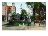 Auburn  New York - View of Public Watering Trough