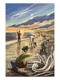 Clam Diggers - Driftwood