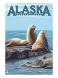 Alaska - Sea Lions