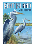 Blue Heron - Kent Island  Maryland