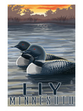 Ely  Minnesota - Loon on Lake
