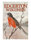 Nature Magazine - View of a Red-Breasted Robin on a Pussywillow Branch - Edgerton  Wisconsin