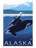 Alaska - Orca and Calf
