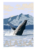 Alaska - Humpback Whale