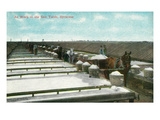 Syracuse  New York - View of Workers in the Salt Yards