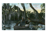 Florida - Boat Scene in the Everglades
