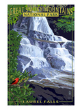 Laurel Falls - Great Smoky Mountains National Park  TN