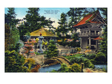 San Francisco  California - Golden Gate Park Japanese Tea Garden