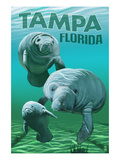 Tampa  Florida - Manatees