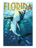 Florida - Stylized Shark