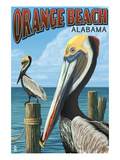 Orange Beach  Alabama - Brown Pelican