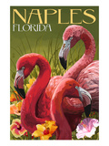 Naples  Florida - Flamingos
