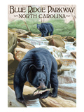 Blue Ridge Parkway  North Carolina - Black Bears Fishing
