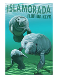 Islamorada  Florida Keys - Manatees