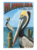 Islamorada  Florida Keys - Pelicans