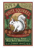 Brevard  North Carolina - White Squirrel
