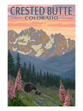 Crested Butte  Colorado - Bears and Spring Flowers