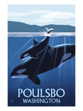 Poulsbo  Washington - Orca and Calf