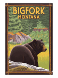 Bigfork  Montana - Bear in Forest