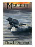 Meredith  New Hampshire - Loons