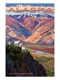 Denali National Park  Alaska - Polychrome Pass