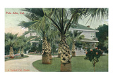 Palo Alto  California - A Typical Californian Home
