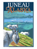 Juneau  Alaska - Goats and Cruise Ships