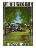 South Deerfield  Massachusetts - Apple Orchard Harvest