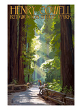 Henry Cowell Redwoods State Park - Pathway in Trees