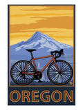 Mountain Bike and Mt Hood - Oregon