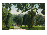 Sacramento  California - Scenic View in City Plaza