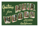 Greetings from Muir Woods National Monument  California