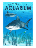Tiger Shark - Visit the Aquarium
