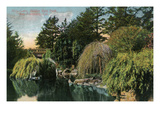 San Francisco  California - Golden Gate Park  View of Alvin Lake